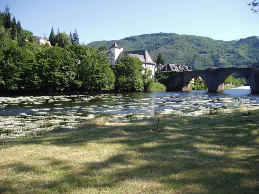 Appartamento Vue Du Pont Entraygues-sur-Truyère Esterno foto